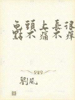 龟头上长很多红点不痛不痒