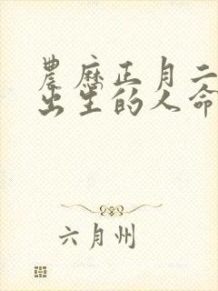 农历正月二十七出生的人命运