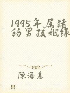 1995年属猪的男孩姻缘在哪一年?
