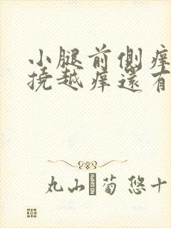 小腿前侧痒痒越挠越痒还有疙瘩封面