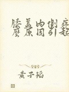 膝盖内侧疼痛什么原因引起的