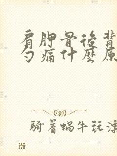 肩胛骨后背后脑勺痛什么原因