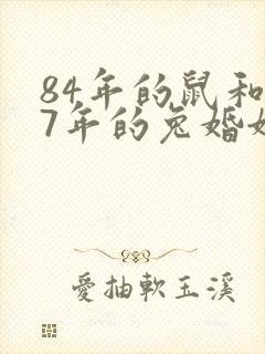 84年的鼠和87年的兔婚姻怎么样