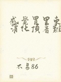 感觉胃里东西不消化顶着难受