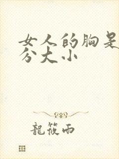 女人的胸是怎么分大小