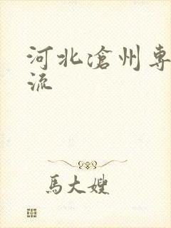 河北沧州专线物流封面