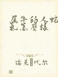 属牛的人蛇年运气怎么样