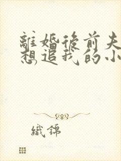 离婚后前夫总是想追我的小说