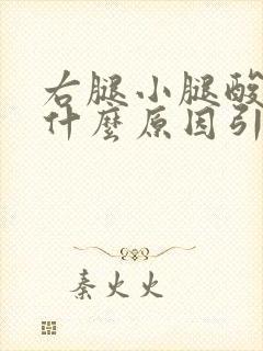 右腿小腿酸疼是什么原因引起的