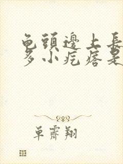 龟头边上长了好多小疙瘩是什么封面