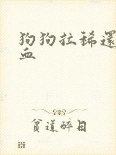 狗狗拉稀还带点血