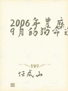 2006年农历9月的狗命运如何