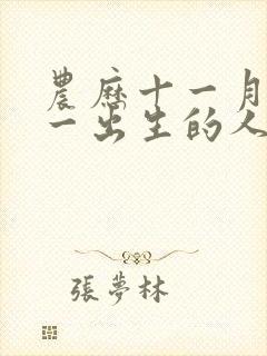 农历十一月二十一出生的人命运