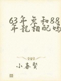 63年兔和88年龙相配吗封面