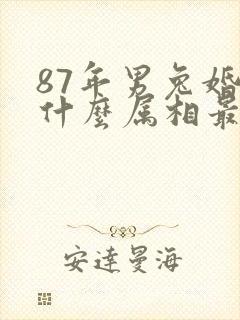 87年男兔婚配什么属相最佳