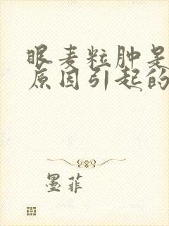 眼麦粒肿是什么原因引起的