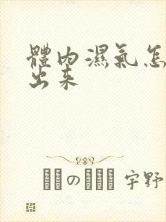 体内湿气怎么排出来