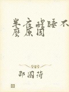 半夜醒睡不着什么原因