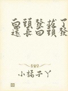 白头发拔了毛囊还长白头发吗