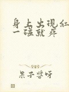 身上出现红疙瘩一碰就疼