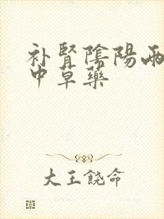 补肾阴阳两虚的中草药