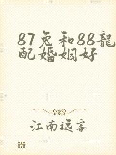 87兔和88龙配婚姻好
