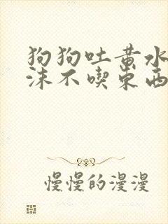 狗狗吐黄水带泡沫不吃东西怎么办