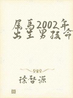 属马2002年出生男孩命运