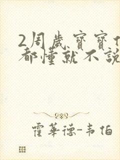 2周岁宝宝什么都懂就不说话封面