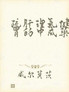 疏肝理气健脾和胃的中成药有哪些