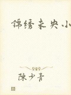 锦绣未央小说封面