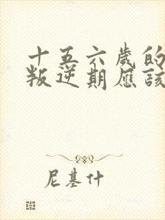 十五六岁的男孩叛逆期应该怎么办