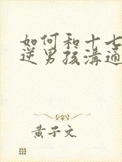 如何和十七岁叛逆男孩沟通