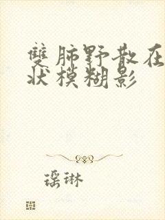 双肺野散在斑片状模糊影