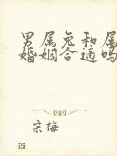 男属兔和属虎女婚姻合适吗