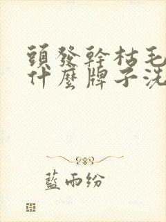 头发干枯毛躁用什么牌子洗发水好