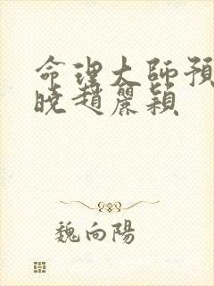 命理大师预言陈晓赵丽颖封面