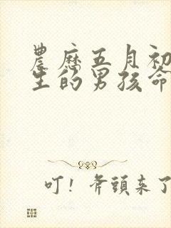 农历五月初一出生的男孩命运