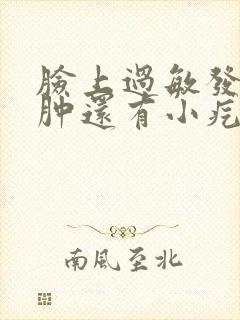 脸上过敏发红痒肿还有小疙瘩怎么快速解决