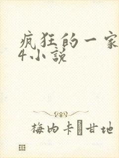 疯狂的一家ps4小说