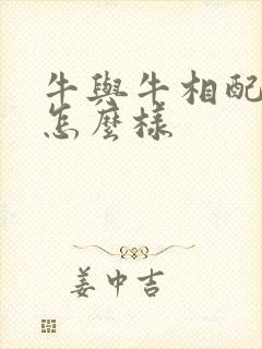 牛与牛相配婚姻怎么样封面