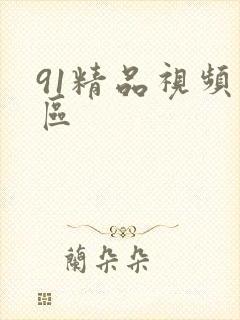 91精品视频二区封面