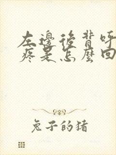 左边后背呼吸时疼是怎么回事封面