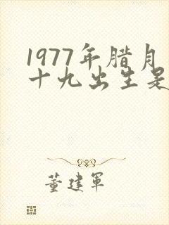1977年腊月十九出生是什么命