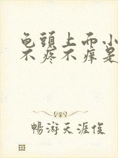 龟头上面小水泡不疼不痒是什么封面