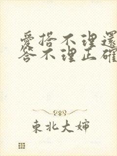 爱搭不理还是爱答不理正确