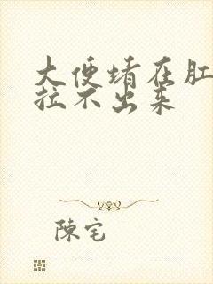 大便堵在肛门口拉不出来