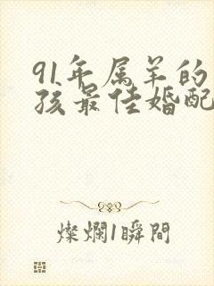 91年属羊的男孩最佳婚配属相封面