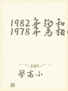 1982年狗和1978年马相配吗