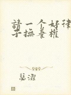 请一个好律师孩子抚养权封面